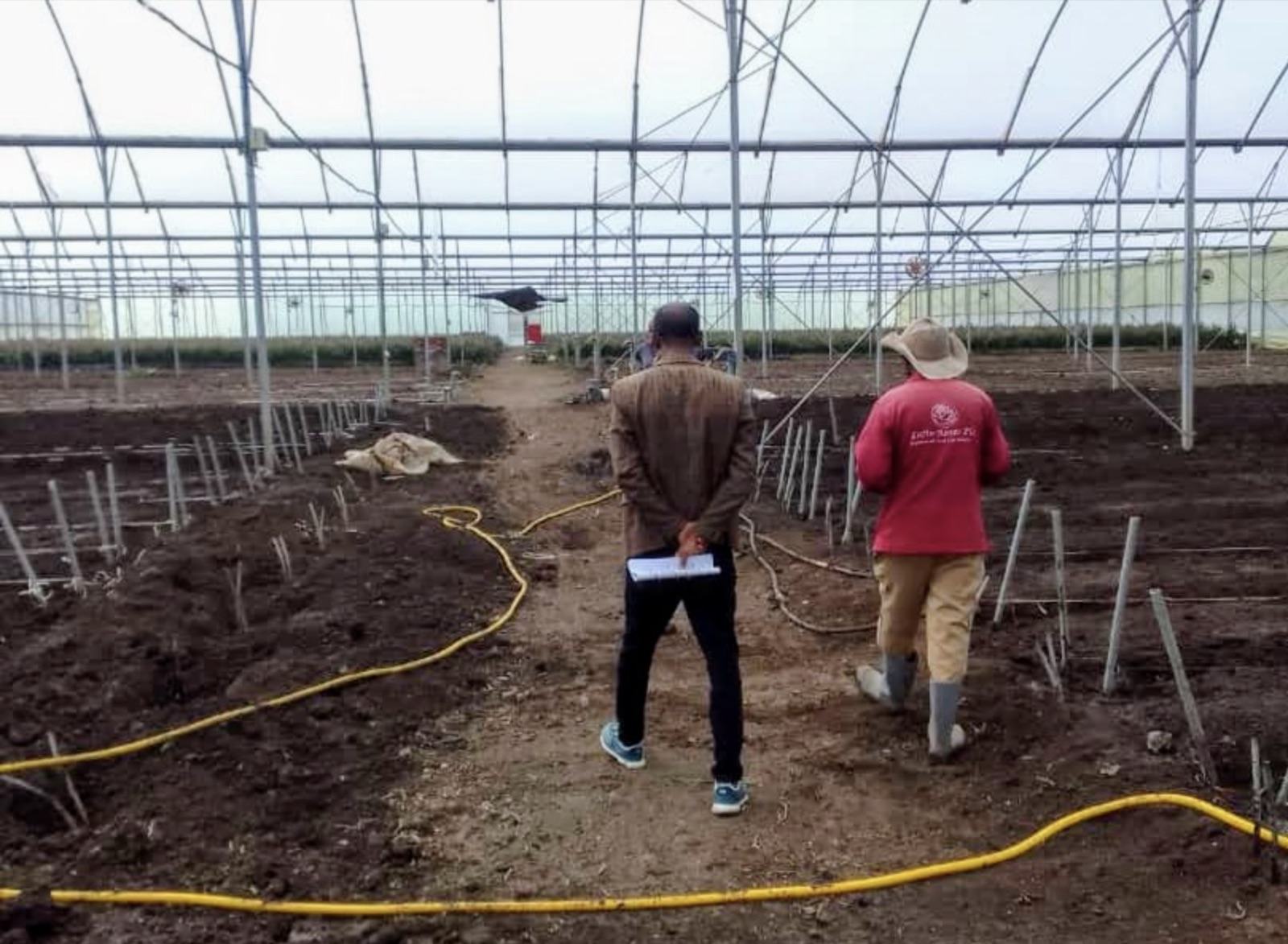 People walking through a greenhouse in Ethiopia